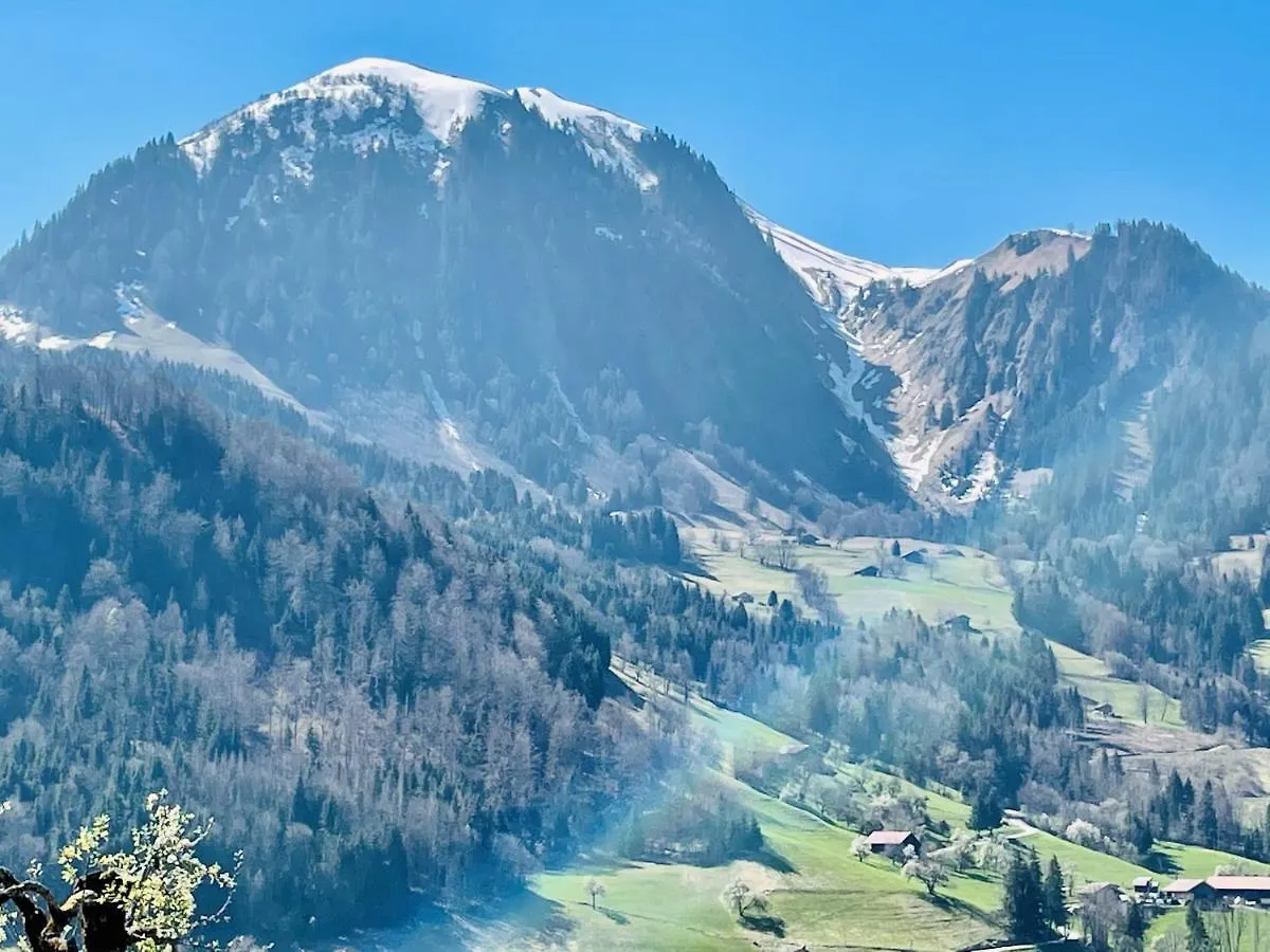 Chalet & Spa Alpaga Manigod 0*,  France
